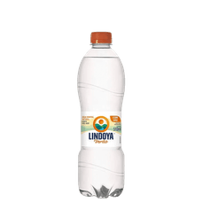 Água Mineral Lindoya com Gás 510ml
