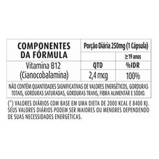 Vita-B12 Suplemente Todo Dia 250mg com 30 cápsulas